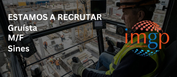 Gruista (M/F) &mdash; Sines